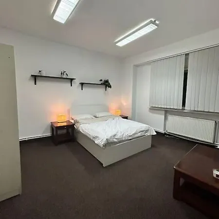 Appartement Ultra-central Spacious Near Old Town Bucarest